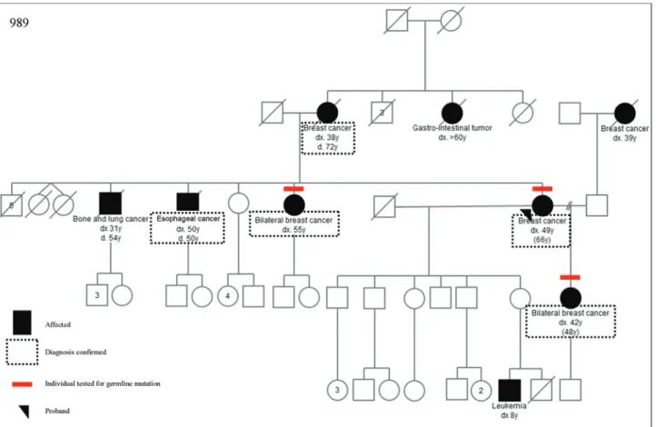 Figure 1 - Pedigree of a family with p.E3002K mutation in BRCA2 gene.