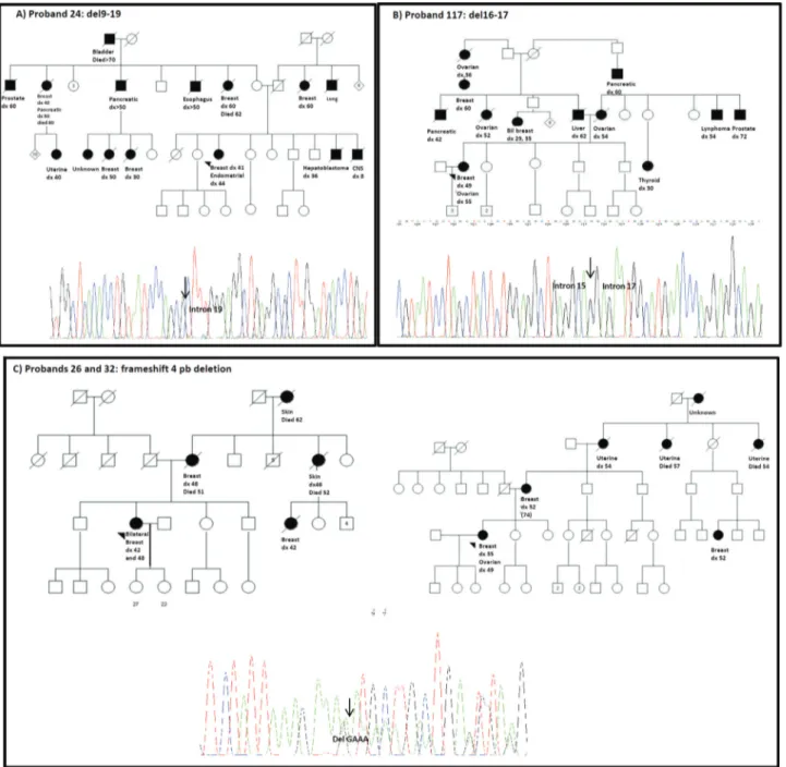 Figure 1 - Pedigrees of the mutation carriers. Panels A, B and C: families with germline BRCA1 mutations identified by MLPA as first mutation screening strategy
