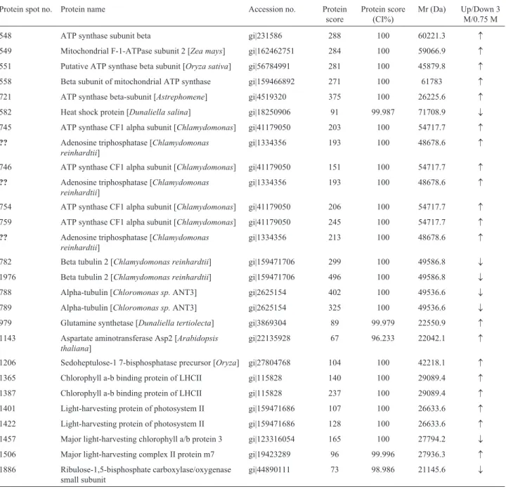 Table 2 - Summary of 24 differentially expressed protein spots identified by MALDI-TOF/TOF MS after DIGE analysis.