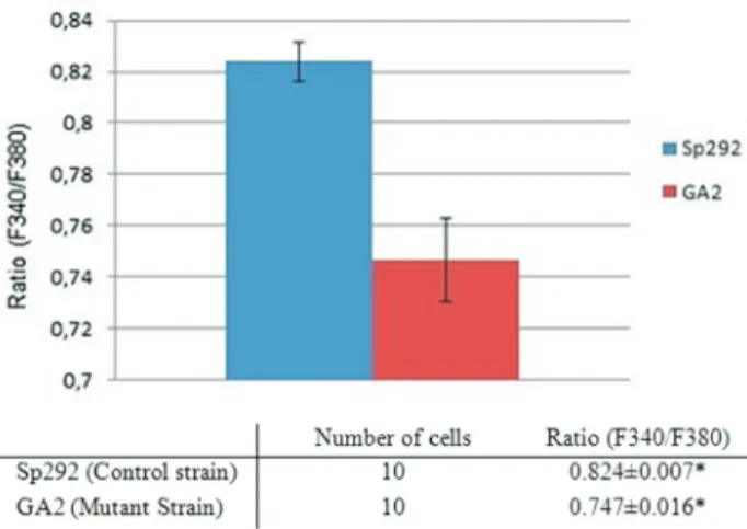 Figure 1 - Comparison of the ratio values of the Sp292 and GA2 strains.