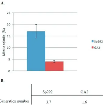Figure 4A shows elongated GA2 cells with mono- mono-nuclei; this finding suggests that chromosomal segregation did not occur due to reduced mitotic spindle formation