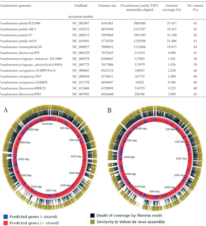Table 2 - Genome-wide pair-wise sequence alignment of P. putida TJ151 with 13 Pseudomonas species.