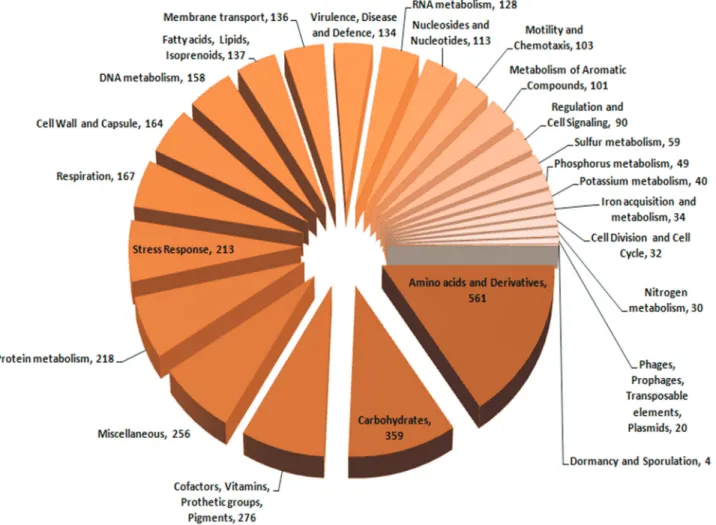 Figure 3 - Annotation of P. putida TJ151 genes by the NCBI Prokaryotic Genomes Automatic Annotation Pipeline (PGAAP) and their distribution ac- ac-cording to different biochemical categories.
