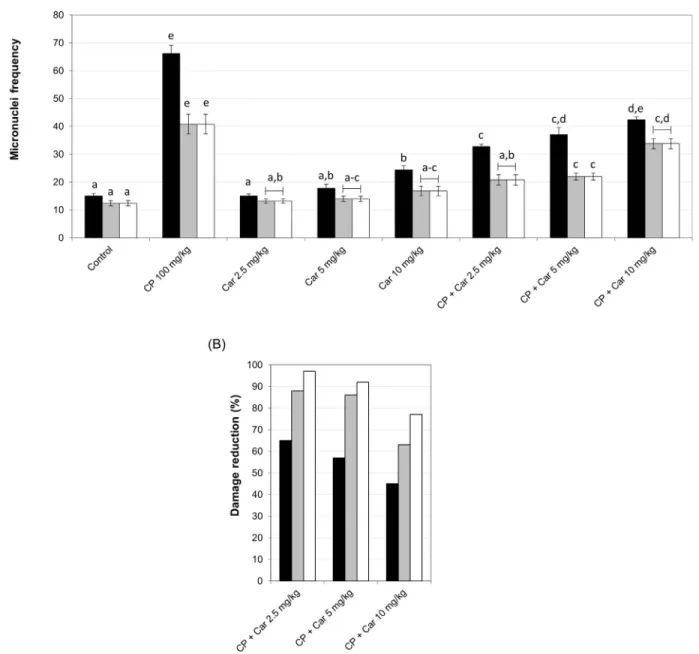 Figure 4 - Evaluation of the mutagenic and antimutagenic potential of cardanol. (A) Means ± SEM of micronuclei frequency