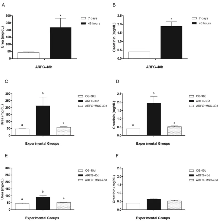 Figure 3 - Urea and creatinine plasmatic concentration (mean ± SD). A and B) Confirmation of acute renal failure