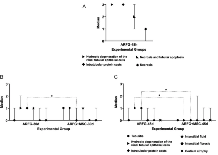 Figure 4 - Data from the histopathological cuts according the Banff 97 classification