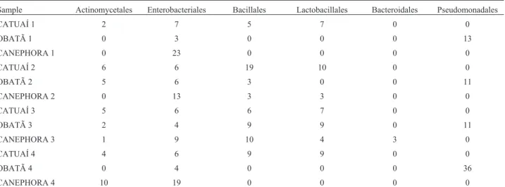 Table 1 - Abundance of OTUs associated with bacterial orders identified in the leaves of three coffee genotypes