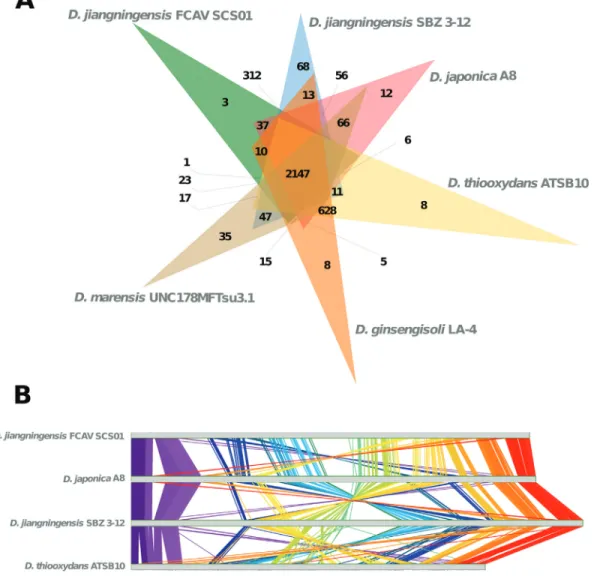 Figure 2 - Comparative genomics of Dyella jiangningensis FCAV SCS01 against other publicly available Dyella genomes