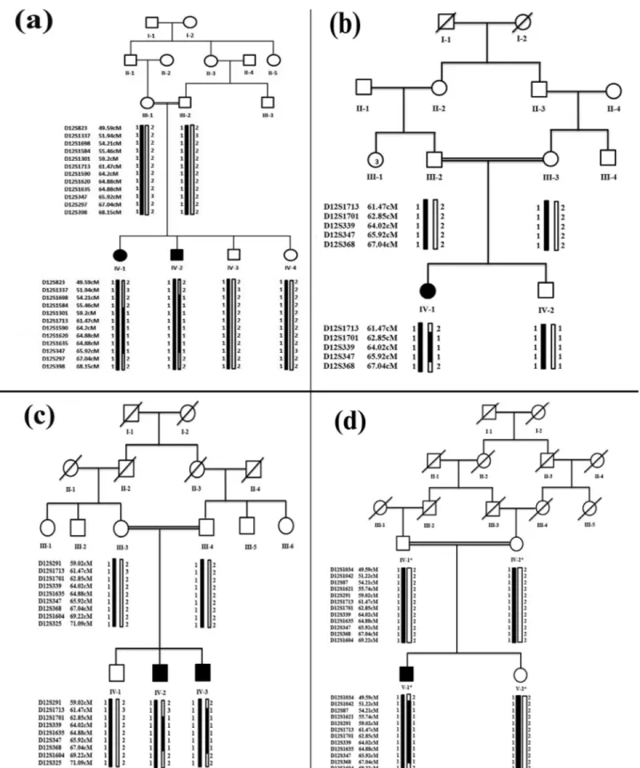 Figure 1 - Haplotypes constructed in families (A to D) segregating SHFM6. Black symbols represent affected individuals while clear symbols represent unaffected individuals