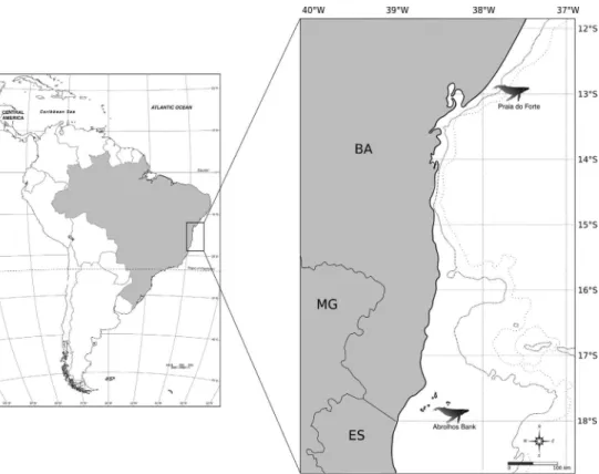 Figure 1 - Map of the surveyed areas, showing the geographic locations of the two sampling sites (zoom) of the humpback whale breeding ground off the Brazilian coast (BSA).
