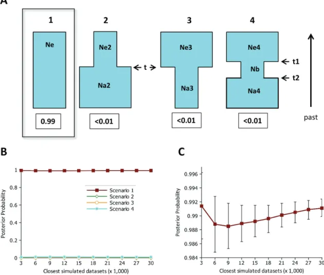 Figure 2 - Demographic scenarios for humpback whales from BSA. (a) The four demographic scenarios tested with the DIYABC approach: 1 - constant population, 2 - bottlenecked population, 3 - expanded population, 4 - population with a transitory bottleneck