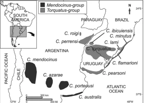 Figure 1 - Map with distribution of 12 Ctenomys species belonging to themendocinus and torquatus groups, with the exception of C