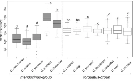 Figure 3 - Skull centroid size variability among 12 species of Ctenomys from the mendocinus and torquatus groups for dorsal view of the skull