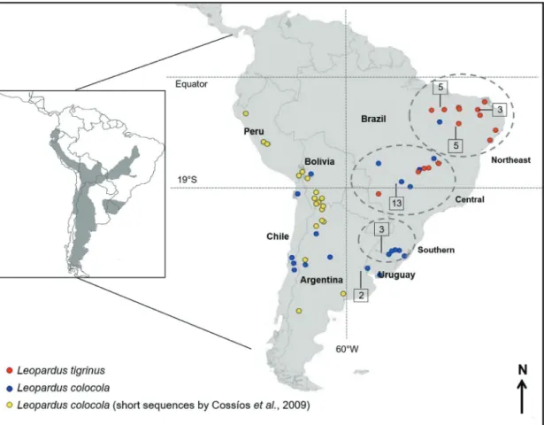 Figure 1 - Geographic distribution of Leopardus colocolaand L. tigrinus samples analyzed in this study