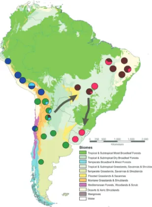 Figure 4 - Map of South America showing the major genetic groups iden- iden-tified throughout the analyzed L