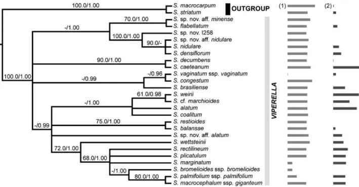 Figure 1 - Strict consensus tree based on the estimated maximum likelihood tree and the Bayesian 50% majority rule consensus tree obtained from the analyses of the whole molecular data set