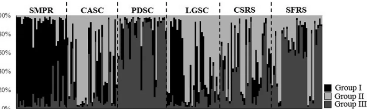 Figure 2 - Population structure in Vriesea reitzii using Bayesian assignment analysis for a K = 3 population model based of seven nuclear microsatellite loci