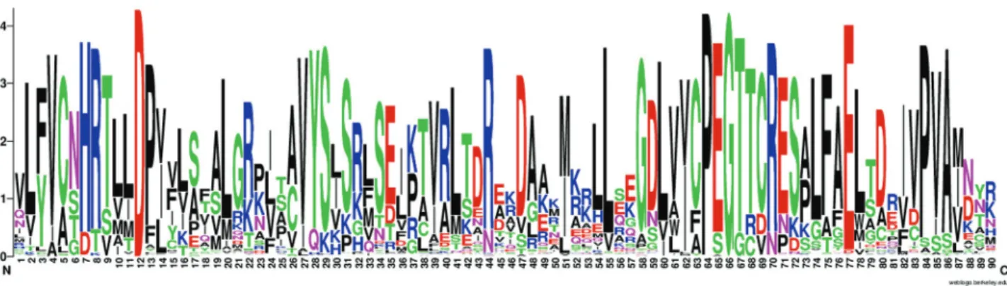 Figure 7 - Amino acid sequence logo of the acyltransferase domain. The logo was generated from an alignment of GPAT sequences from plant and algal species