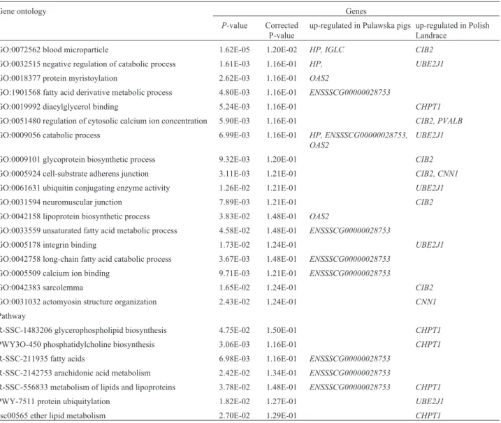 Table 3 - Functional annotation of differentially expressed genes in longissimus dorsi muscle of pigs.