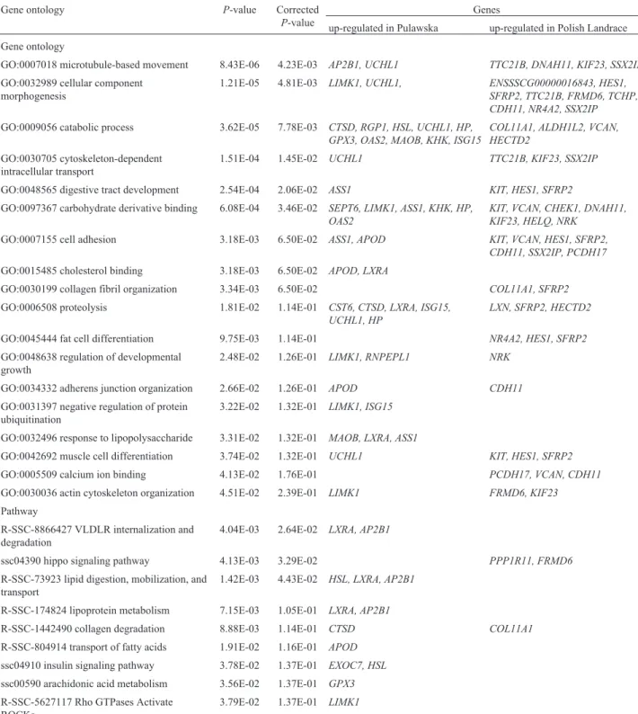 Table 4 - Functional annotation of differentially expressed genes in semimembranosus muscle of pigs.