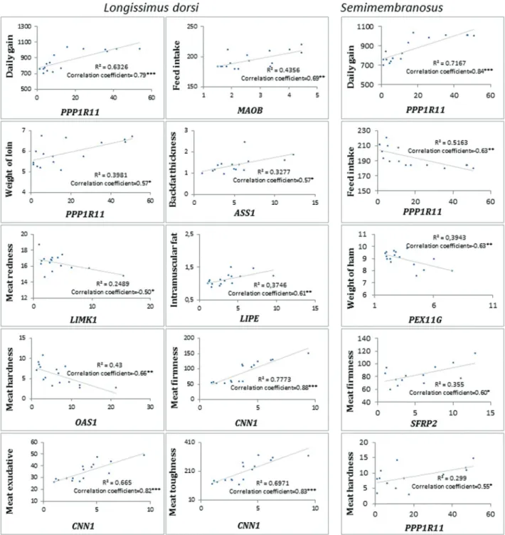 Figure 2 - Regression of genes with differential expression in longissimus dorsi and semimembranosus muscles against important pig traits
