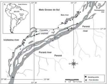 Figure 1. The upper Paraná River floodplain and environments 