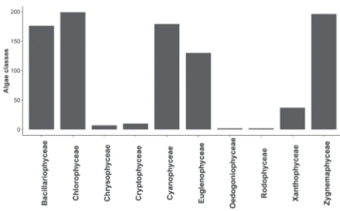 Figure 2. Proportion among taxonomic classes in the upper Paraná 