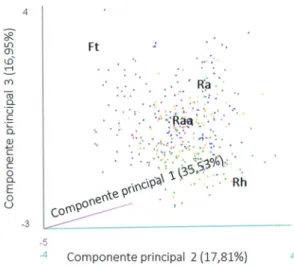 Figure 2. Principal Component Analysis (PCA) of foliar traits in  the populations of  Smilax campestris  (Smilacaceae) occurring  in the restinga formations of the Parque Estadual Acaraí, São  Francisco do Sul, Santa Catarina State, Brazil