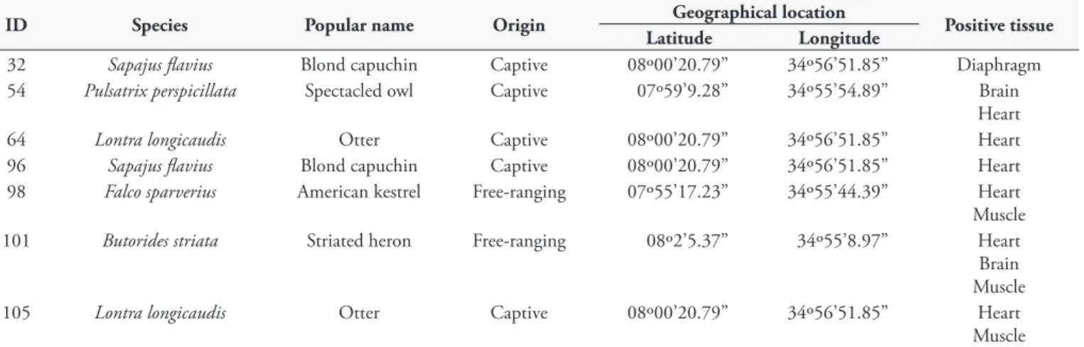 Table 3 lists the results from RFLP genotypic characterization  of the T. gondii isolate from the free-ranging striated heron and  from the primary sample of the captive otter.