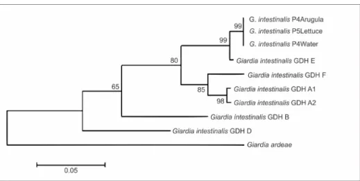 Figure 3. Graph resulting from the multiple correspondence analysis. Presence of cervids (NCERV, YCERV); positive results of T