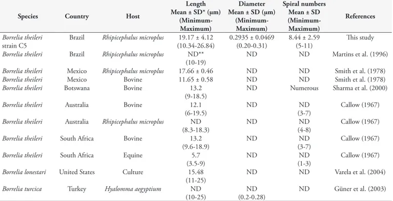 Table 1. Morphometric data (µm) for spirochetes forms of Borrelia theileri strain C5 and published data from other Borreliae species.