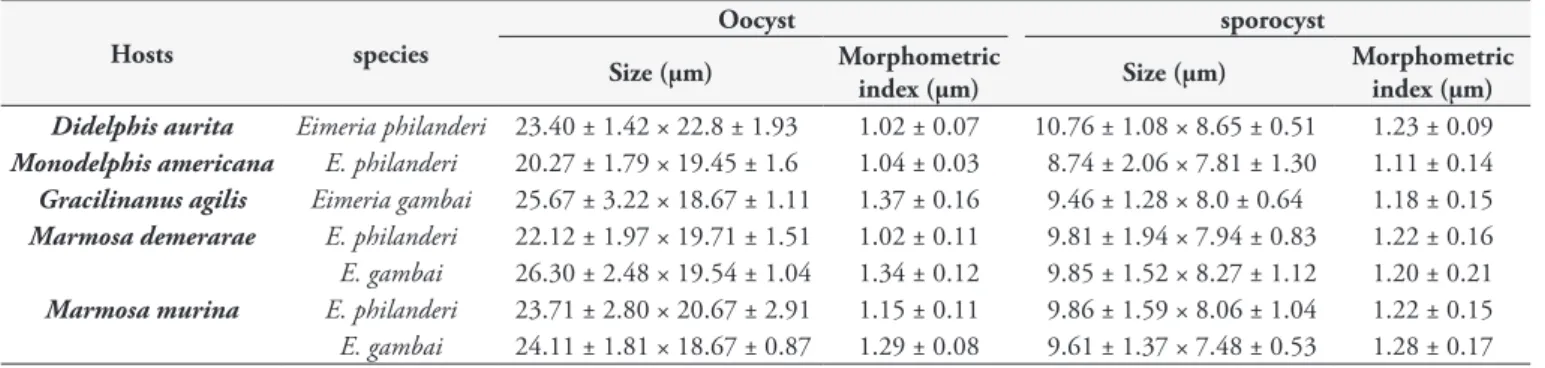Table 2. Morphometry of oocysts and sporocysts of Eimeria spp. identification of fecal samples of marsupials, from southern Bahia, Brazil.
