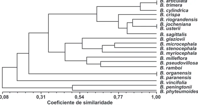 Figura 4 – Dendrograma obtido através do método hierárquico de agrupamento UPGMA (Unweighted Pair Group Main Average) com base na similaridade de distribuição geográfica (coeficiente de similaridade de Jaccard) das espécies de Baccharis sect