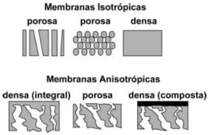 Figura 2.6 - Morfologia da secção transversal dos diferentes tipos de membrana  (HABERT, 2006) 