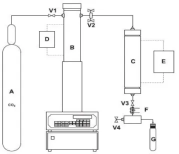 Tabela 4. Condições experimentais dos ensaios em meio supercrítico. 