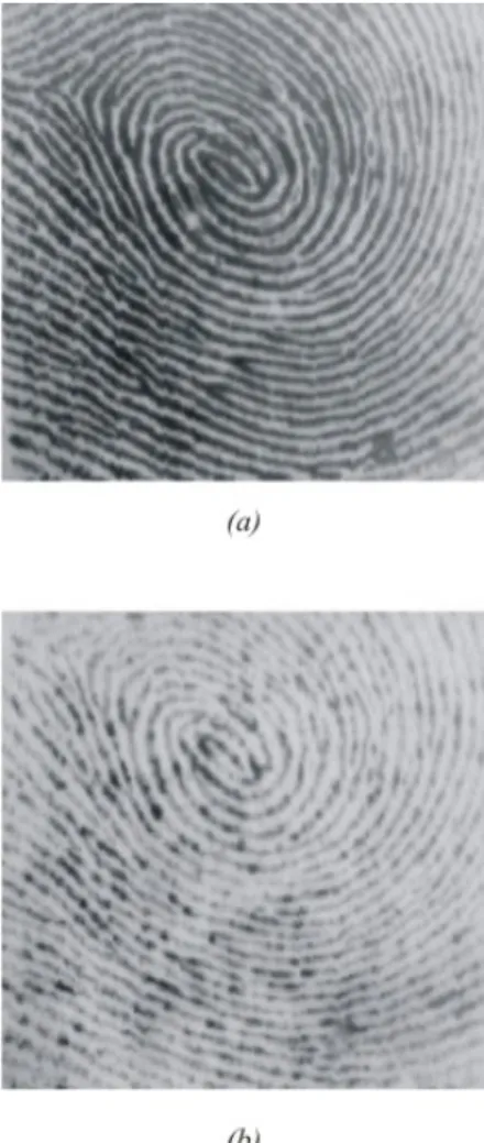 Figura 3.4 – Imagens de uma mesma impressão obtidas por um scanner. (a) imagem            com uma pressão maior e mais distribuída do que a da letra (b)
