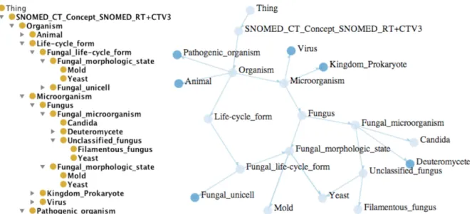 Figure 10 – Tree and graph representations [Fu, Noy, and Storey 2013] 