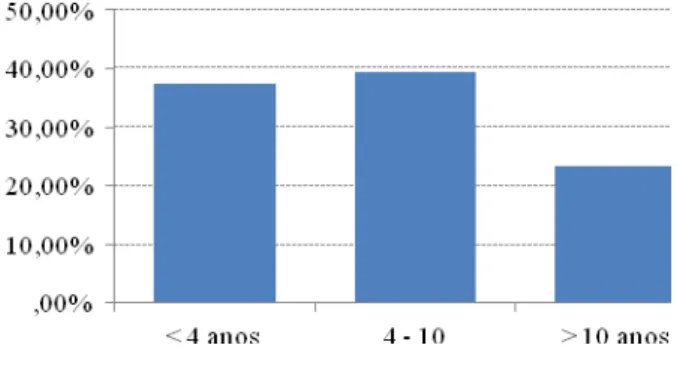 Gráfico 3: Antiguidade 