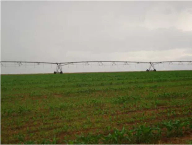 Foto à esquerda sistema de produção com pivô central. Autor: Gilmar José Ribeiro, 2005