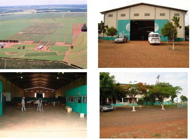 Foto 31  Fazenda Dow: