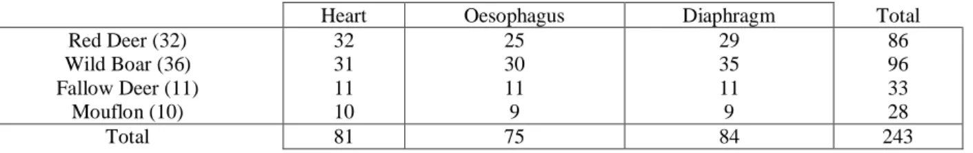Table 9 - Numbers of collected muscles by specie and tissue. 