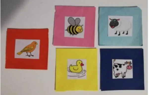 Figura 9 - Cartolinas com Animais 