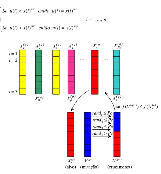 Figura 4.3 - Ilustração do processo de cruzamento exponencial para  α = 2 ,  β = 4  e  γ = Np 4.1.3 Seleção 