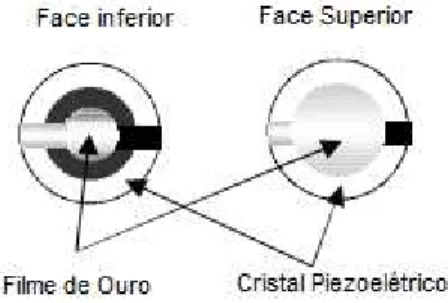 Figura  6.  Desenho  esquemático  de  um  cristal  de  quartzo  com  depósitos  metálicos  em ambos os lados