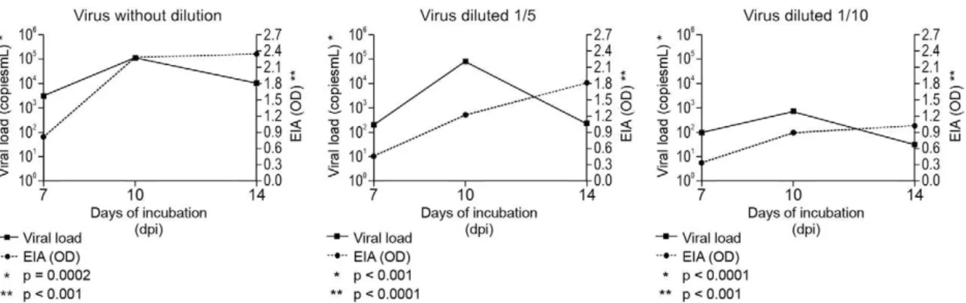 Fig. 1: comparison between the numbers of viral particles analyzed by ELISA in situ and the number of amplified copies of the genome of hepa- hepa-titis A virus analyzed by real-time (RT) polymerase chain reaction according to the days of incubation
