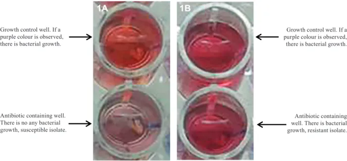 Fig. 1: microtitre nitrate reductase assay.