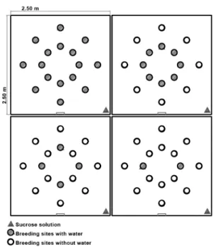 Fig. 1: representation of the distribution of the different densities (2, 4, 8  and 16 breeding sites) and the positions of the breeding sites in the  inte-rior of the acrylic boxes