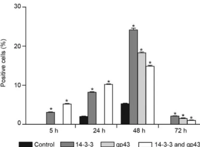 Fig.  6:  the  p53  expression  in  A549  cells  with  different  treat- treat-ments analysed by fluorescence-activated cell sorting