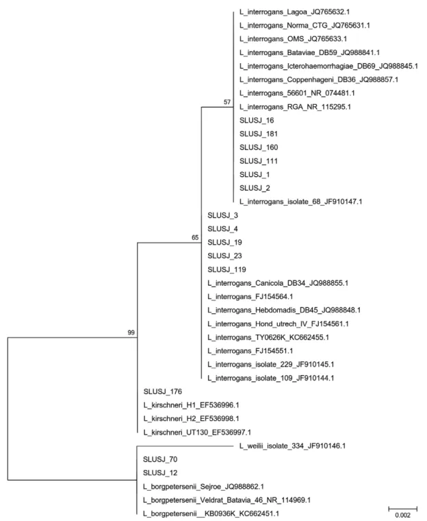 Fig. 3: phylogenic analyses were conducted with MEGA 6.0, the phylogenetic tree being drawn based on 1,000 bootstrap replicates with Kimura  2-parameter