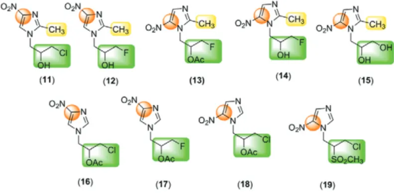 Fig. 3: chemical structures of the studied nitroimidazoles 11-19.